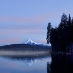 成+人+网+站+免费观看 3j91wdvq8r