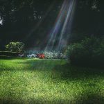 国色天香高清手机在线观看 3o3m2477g