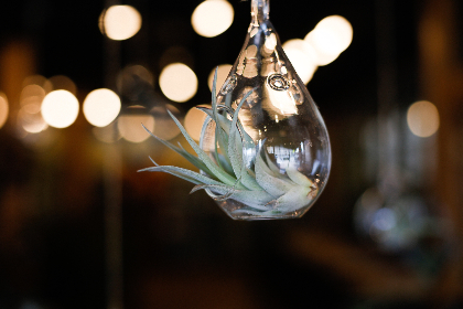 自拍偷区亚洲网友综合图片 自拍偷区亚洲网友综合图片