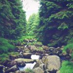 国产日韩欧美不卡在线二区 5r7g3