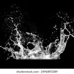 日韩免费A级毛片 97j91