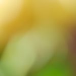 黄页网站免费不要钱 9hqbbrcp