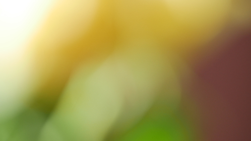 黄页网站免费不要钱 黄页网站免费不要钱