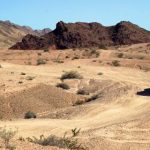 在线观看AV 9nt208