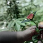 在线观看无码不卡AV b58nf