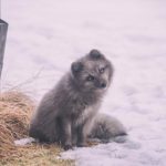 成人a级视频在线观看 bo20bl2