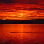 日韩人成片在线观看 box4llnn