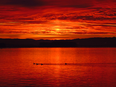 日韩人成片在线观看 日韩人成片在线观看