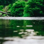 在线观看黄网站色视频免费 czp1c8gg