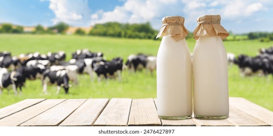 九色蝌蚪奇幻冒险之旅:探索五彩世界的神秘故事 九色蝌蚪奇幻冒险之旅:探索五彩世界的神秘故事