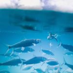 伊伊人成亚洲综合人网 fgu54y6dtq