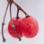 大炕大战60多胖老太 geh639v9t