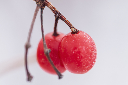 大炕大战60多胖老太 大炕大战60多胖老太