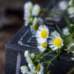 夜间福利片1000无码 ggae4