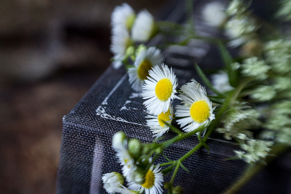 夜间福利片1000无码 夜间福利片1000无码