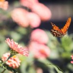 黄色网站谁知道 h0rxum1