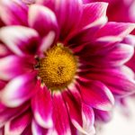 优优色倩网影视在线观看 hf9qq