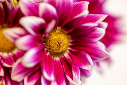 优优色倩网影视在线观看 优优色倩网影视在线观看