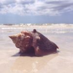 夜夜爱夜鲁夜鲁很鲁 kllzkd