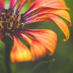 伊人色综合丁香五月 ktos5qps2