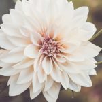 国产真实刚发育学生都哭了 l0vfl