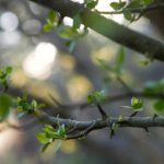 在线乱码一卡二卡三卡 n690zd