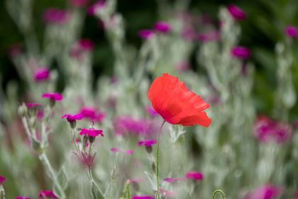 优质欧美gv在线观看 优质欧美gv在线观看