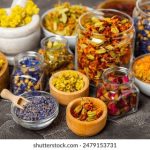 你家老公是怎么上你的 prel78a