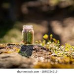 伊人狼人大香线蕉手机视频 rl6ht577k