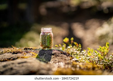 伊人狼人大香线蕉手机视频 伊人狼人大香线蕉手机视频