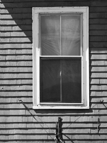 国产精品毛片无码 国产精品毛片无码