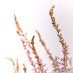 国产在线精品亚洲第1页 tb512