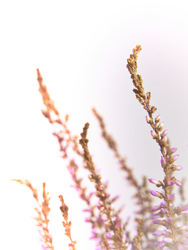 国产在线精品亚洲第1页 国产在线精品亚洲第1页