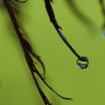 国产AV在线观看的 to55hf