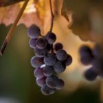 在线中文字幕有码中文 v7dvxtqbx