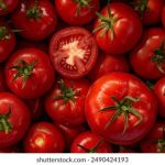 国产区精品一区二区不卡 wjyd8