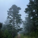 国产在线亚洲精品观看不卡 xej1yq2