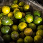 在线不卡日本v二区 w006.top ydywaiks87