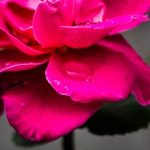 黄页网址大全免费观看手机 z74dly9