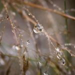 如何通过Steam官网下载游戏并进行安装指南 0cli7