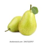 快猫官网在线观看:畅享高清影视,尽在指尖轻松获取 47m7rvra