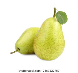 快猫官网在线观看:畅享高清影视,尽在指尖轻松获取 快猫官网在线观看:畅享高清影视,尽在指尖轻松获取