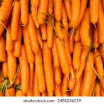 今日头条热搜榜:揭示最新热门话题与趋势 4ew549jdgr