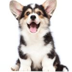 嫩草影视有限公司合作伙伴:携手共创影视新未来的战略联盟 789is9lc