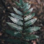 今日头条新闻官网:实时更新最新资讯,掌握热点新闻动态 cltoe1