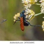 sxs blog:探索生活中的性别表达与自我认同之旅 e19r65b