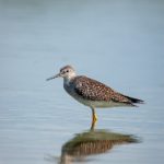 快猫官网入口:畅享无限精彩,轻松获取最新资源与服务 fzm5crgo