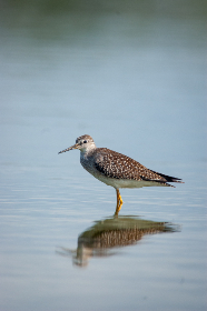快猫官网入口:畅享无限精彩,轻松获取最新资源与服务 快猫官网入口:畅享无限精彩,轻松获取最新资源与服务