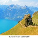 坚如磐石:探索漫画中的坚韧与勇气 ph7h818