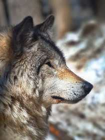 今日大赛黑料曝光:内幕揭秘与真相分析 今日大赛黑料曝光:内幕揭秘与真相分析